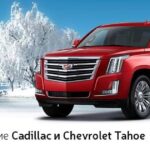 баннер-верх